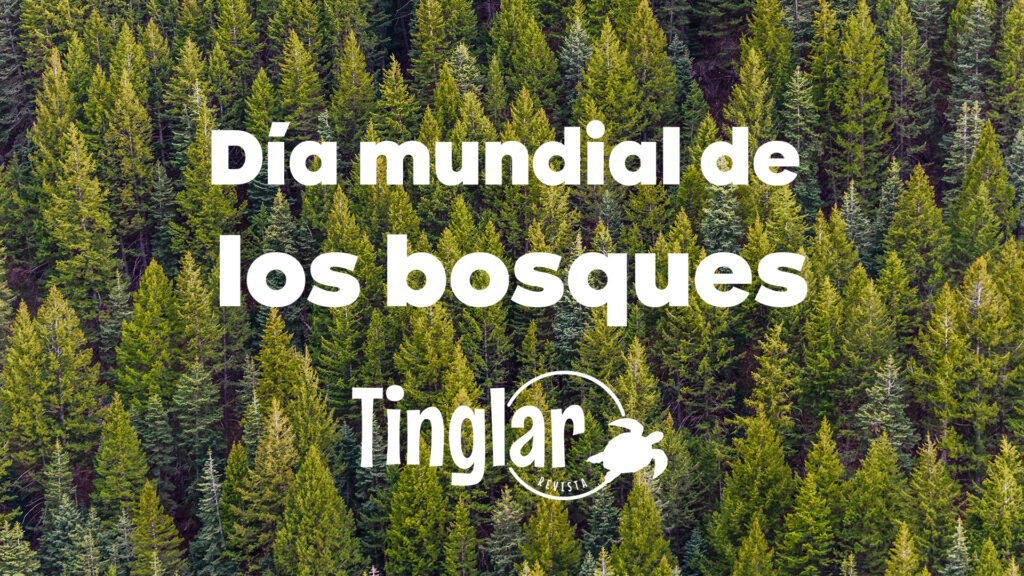 Dia Mundial De Los Bosques - Revista Tinglar